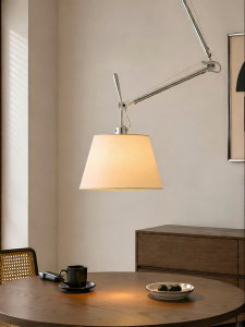 FANCY LAMP CLUB | Adjustable Reading Pendant Light
