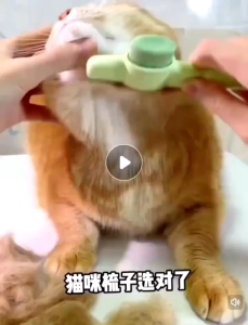 Sikat Rambut Sikat Kucing Anjing Comb Penyingkiran Bulu Berus Haiwan Pet Hair Fur Hairbrush Tool 宠物自洁梳狗毛猫除毛排梳毛梳