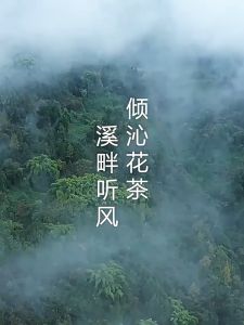 VETES Syampu🧴维特丝无硅油香氛柔顺洗发水持久留香去屑止痒清爽控油蓬松 Silicone Free Fragrance Smoothing Shampoo Long Lasting Fragrance