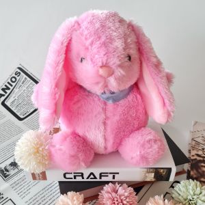 Boneka Animal Kelinci Rabbit Bunny Telinga Panjang Lucu Lembut Bagus