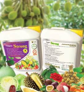 Phân bón gốc hữu cơ khoáng Super strong Plus can 6kg