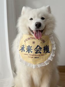 Motivational Diary Cute Saliva Towel Scarf for Medium to Large Dogs Golden Retriever Samoyed Dog Bandana Pet Accessories
