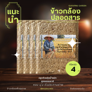 1 กิโลกรัม ข้าวกล้อง ปลอดสาร แพ็คสูญญากาศ ตรา สวนอิสระพินิจ