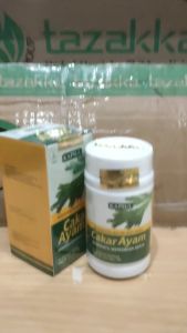 TAZAKKA Kapsul Daun Cakar Ayam: Solusi Herbal untuk Penyakit Tenggorokan & Paru-Paru