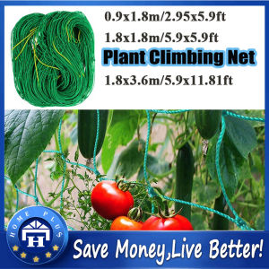 Plant Climbing Netting & Nylon Flower Vine Support: A Comprehensive Guide