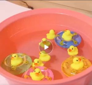 LIVING HOME Mainan Bebek Viral Mainan Anak Anak Mainan Bebek-Bebekan Air Bebek Mainan Mandi Anak Mainan Bayi Baby Toddler Mandi Vinyl Bebek Induk Anak Cit Cit