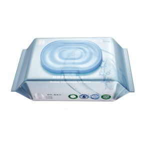GB | Alcohol-Free Gentle Baby Wet Wipes 80 Counts