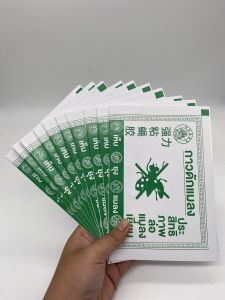 กาวดักแมลงวัน 10 แผ่น รุ่นกระดาษ กาวเหนียวแน่น กระดาษสีเขียว กาวไม่เยิ้ม มีสารล่อแมลงในกาว insect glue