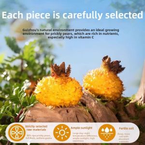 YIFANGYOUTA | Wild Dried Hawthorn Snack