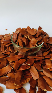 BIJI MAHONI KULIT 100 GR - KEMASAN EKONOMIS