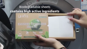 SG READY STOCK Laundry Sheet Laundry Paper Travel Laundry Detergent 40 Sheets / Pack