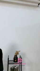 Kemeja Polos Wanita Kerja Kantoran Cewek Kuliah Kekinian Blouse Polos Atasan Wanita Lengan Panjang