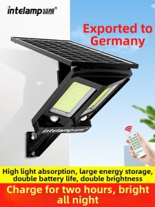 intelamp | Solar Induction Street Light