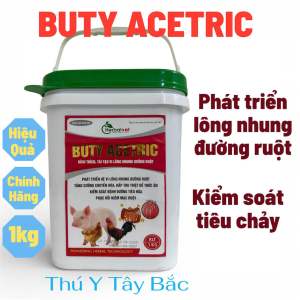 Buty Acetric kích tái tạo vi lông nhung đường ruột gói 100gr thú y tây bắc