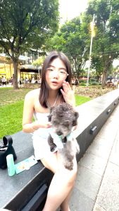 Gentle Paws Anti-Tick and Fleas Patches Protect Me Patch Sticker For Dogs & Cats Plant-Based Lick Safe