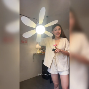 16.5/20-Inch 6-Blade LED Ceiling Fan With Remote and Dimmable 3 Color Light Bedroom Silent Fan Light Chandelier Ceiling Light