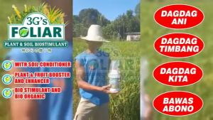 3Gs Foliar Fertilizer & Soil Biostimulant | Plant Growth Booster with Insect Repellent (Red Cup) & Non-Repellent (Green Cup) | Ideal for Rice Corn Vegetables and Fruit Crops | FREE Cup | Original Super Gold Japan Technology NPK | 250 500 1000 mL - ICE