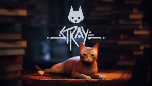 Đĩa game Stray PS5