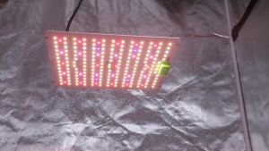 85W 180W LM281B+ PRO LED Grow Light Full Spectrum Phyto Lamp Quantum LED Grow Lamp For Greenhouse Hydroponic Plant Growth Light