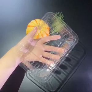 [Dulang boleh a] boleh a tambahan tebal us plastik buah bekas panggang itik  strawberi  buah-buahan dan sayur-sayuran  buah-buahan memotong pembungkusan  dulang pembungkusan