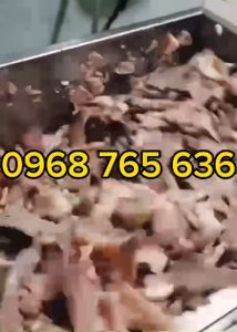 Máy trộn nem chua trộn thịt làm mọc giò chả 5-10kg - Mô tơ 22kw