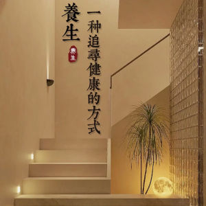 Health Spa Decorative Wall Art Acupuncture Image Background Photo Zone Beauty Salon Atmosphere Arrangement Soft Home Decor