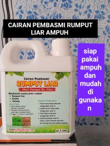 CAIRAN PEMBASMI RUMPUT LIAR AMPUH ISI 1LT SIAP PAKAI.GULMA ILALANG SIAP DI BASMI