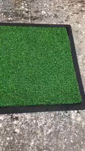 2 in 1 Wet and Dry Disinfectant Sanitizing Mat