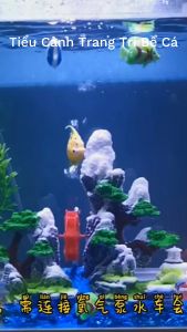 Tiểu Cảnh Bể Rùa Bể Cá - Bệ Phơi Nắng Máng Leo Cho Rùa Phơi Nắng Và Các Loài Bò Sát Chất Liệu Resin Siêu Bền