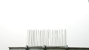 Paku Anti Burung Stainless Steel & Galvanis: Solusi Tahan Lama untuk Peralatan Listrik