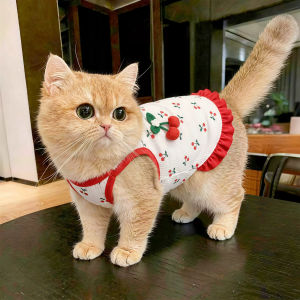 Anti-shedding Breathable Soft Pet Clothes for Small Dogs and Cats