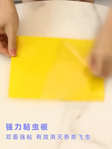 Insect Sticker Board 50pcs Double Sided Sticky Board Insect Fruit Fly Trap Yellow Blue Pelekat Serangga