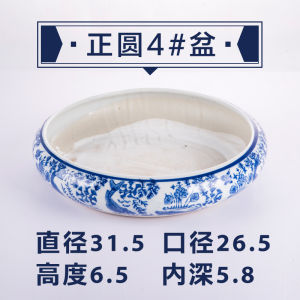 Water Absorbing Stone Base Basin Rockery Bonsai Water Stone Special Basin Hydroponic Bowl Lotus Water Fairy Basin Blue and White Porcelain Ceramic Flower Pot