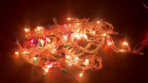 Rice Light 80L Christmas Light Decoration With Controller 3M