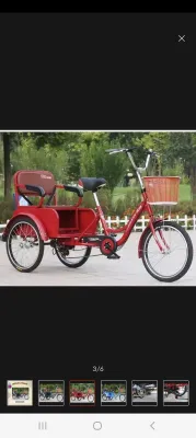 Tribike Cargo Passenger Bike for Adults