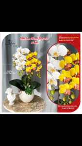 Hoa Lan Hồ Điệp Giả Cao Cấp Chậu Hoa Lan 2 nhánh12 bông để bàn trang trí nhà cửa 45cm