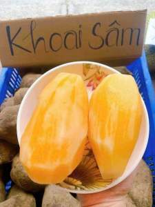 5kg Khoai Sâm đất ăn sống (size 5-6 củ/1kg)