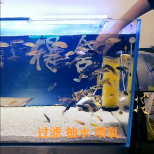 กรองน้ำ SOBO สำหรับตู้ปลา ปั๊มกรองน้ำ ตู้ปลา ตัวกรองสามในหนึ่งเดียว อุปกรณ์เสริม อุปกรณ์สัตว์น้ำ สัตว์เลี้ยง สินค้า บ้านและสวน