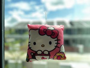 Ready Stock Soft Square Cartoon Pillow gift Or Collection Sharp Colour Design 18cm