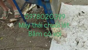 Máy thái chuối lát  băm cỏ