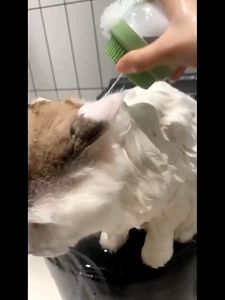 Sikat Mandi Kucing SMP01 Sikat Anjing Sisir Pijat Hewan Peliharaan / Pet Brush Grooming