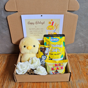 ✨ Cute Yellow Chick Duck Sunshine Doll Plushie Treats Thoughtful Gift for Girlfriend Her Valentines LDR Surprise Package Giftsets