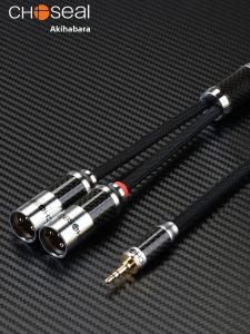Choseal | 3.5mm to Dual XLR Male Audio Cable for Amplifier and Computer Connection