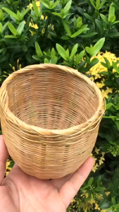 2 CÁI TỔ TRE CHO MANH MANH BẢY MÀU YẾN HÓT SẮC NHẬT