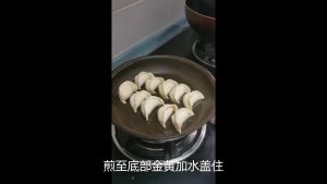 韭菜猪肉 饺子批发 水饺批发餐厅直供 200粒 +-4.2kg  Handmade  Chive and Pork Dumplings（200pcs）