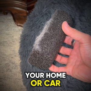 Bare Pets The Bare Brush – Reusable Pet Hair Remover for Furniture Car Carpet | Eco-Friendly Tool for Dog Hair & Cat Fur | Lint Roller Alternative No Waste Lasts a Lifetime