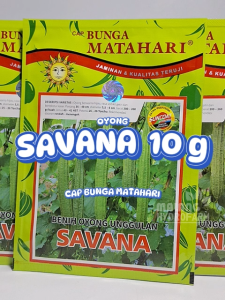 Benih Oyong Savana 10 g Cap Bunga Matahari dataran rendah sampai menegah unggul bibit biji sayur bening Gambas hydroponik hidroponik
