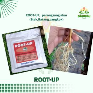 ROOT-UP Mempercepat Perangsang Pertumbuhan Akar Stek Cutting Atau Cangkok Batang Tanaman dan Pohon Bunga