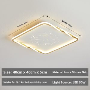 Hongji | Modern Minimalist Popularity Atmosphere Ceiling Light