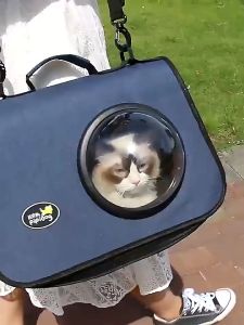 กระเป๋าแคปซูลอวกาศสัตว์เลี้ยง ราคาถูก กระเป๋าสะพายสุนัขและแมว กระเป๋าแบบพกพา กระเป๋าอวกาศสัตว์เลี้ยงสะพายหลัง กระเป๋าใส่สัตว์เลี้ยง